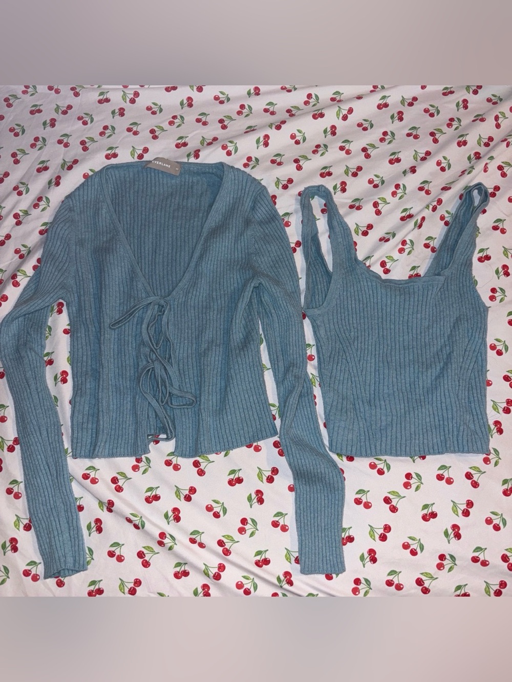 Everlane Ribbed Knit Tops | Lot of 2
